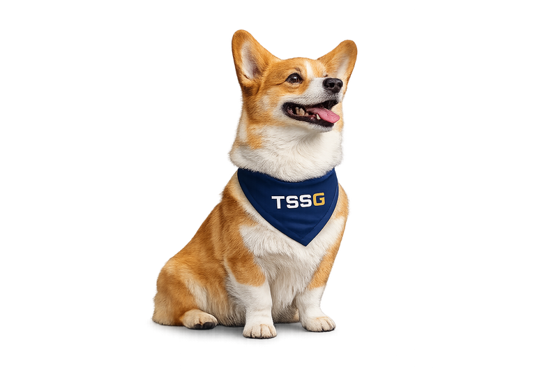 Kite mascot image